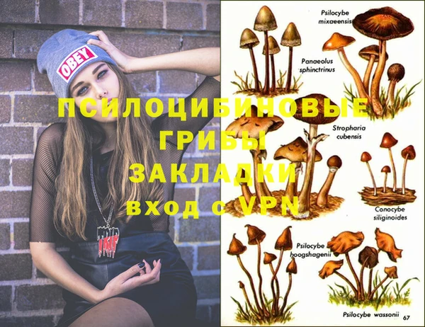 MDMA Аркадак